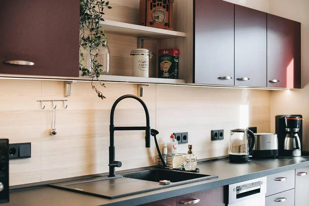 Stilvolles Apartment In Drezno